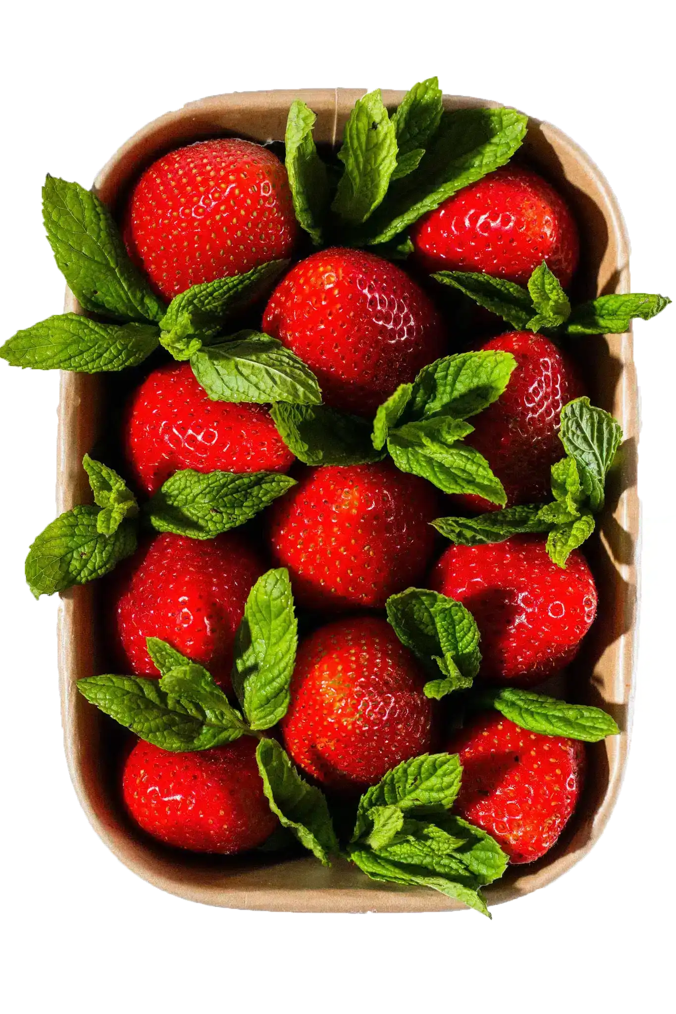 loveat_under_plans_homepage-3-copy